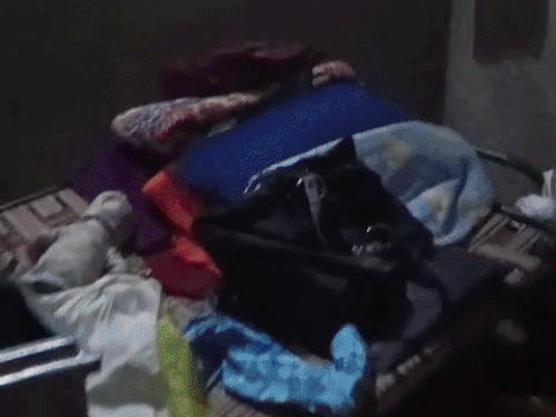 पानीपत में दिनदहाड़े लाखों की चोरी:कमरे का ताला तोड़कर नकदी और जेवरात ले उड़े चोर, काम पर गए थे पति-पत्नी