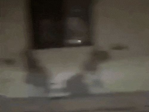 जालंधर के गांधी कैंप में घुसा ओवरलोडेड ट्रक:बिजली के खंभे तोड़े, पूरे इलाके की बत्ती हुई गुल, लोगों में भारी रोष