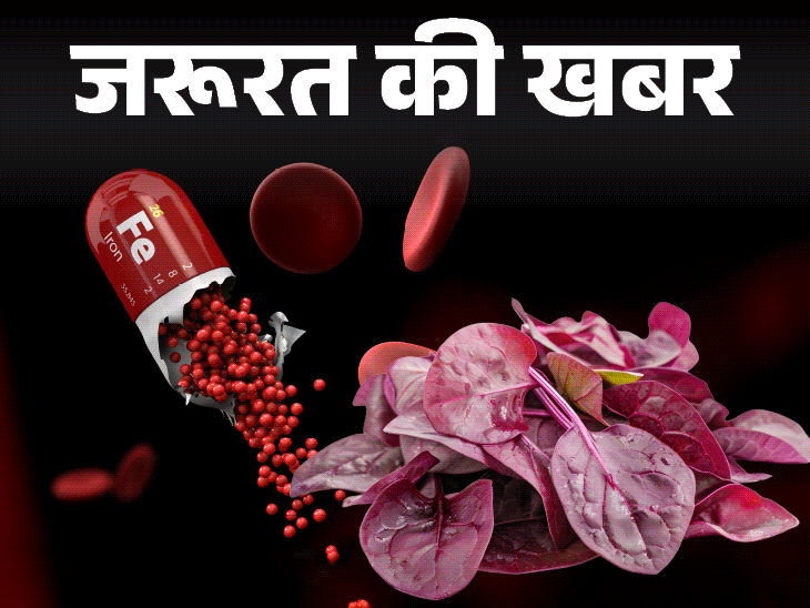 जरूरत की खबर- आयरन डेफिशिएंसी के 12 संकेत:न करें इग्नोर, हो सकता है एनीमिया, इंफेक्शन, डाइट में शामिल करें रेड लीफी ग्रीन्स