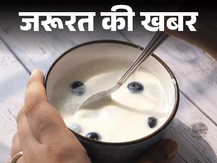 जरूरत की खबर- बीपी कम करना है तो दही खाएं:इम्यूनिटी बढ़ाए, इंफ्लेमेशन कम करे, 12 हेल्थ बेनिफिट्स, जानें किसे नहीं खाना चाहिए