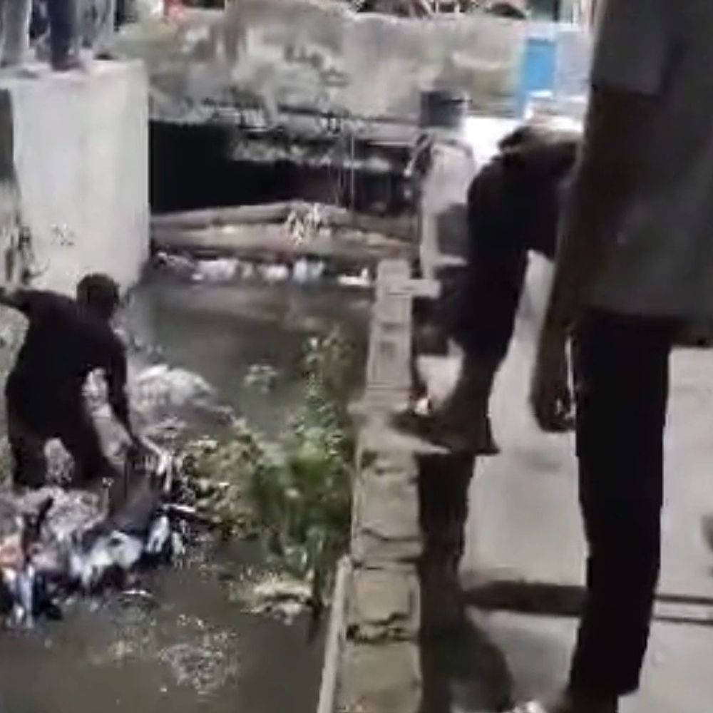 बरेली में खुले नाले में बाइक सहित गिरा युवक:आधे घंटे की मशक्कत के बाद सुरक्षित बाहर निकाला गया, प्रशासन पर उठे सवाल