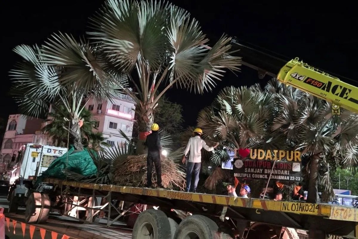 देर रात उदियापोल सर्कल से हटे पेड़, दिया पर्यावरण संरक्षण का संदेश