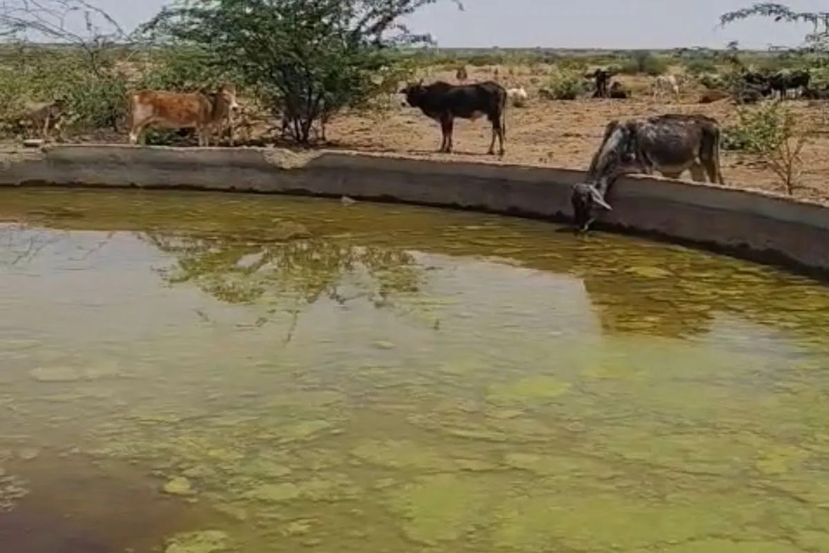 गहराया पेयजल संकट, न पहुंच रहा पानी और न पहुंच रहे टैंकर