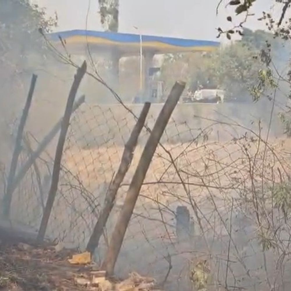 मंडला में पेट्रोल पंप के पास खेत में लगी आग:समय रहते काबू पाया, कर्मचारी ने भी संभाला मोर्चा