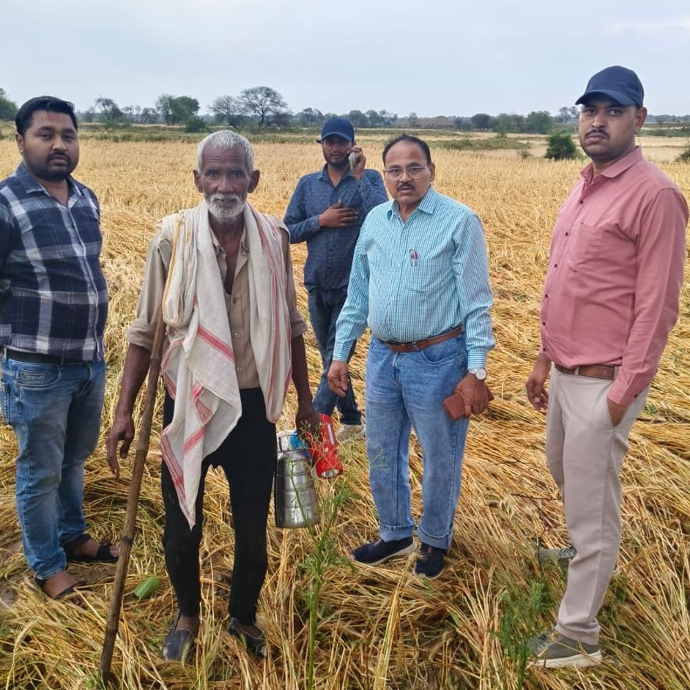 दतिया के 25 गांवों में ओले-बारिश से फसल चौपट:रविवार को भी दिनभर बादल छाए रहे, नुकसान के आकलन के लिए सर्वे टीम बनाई