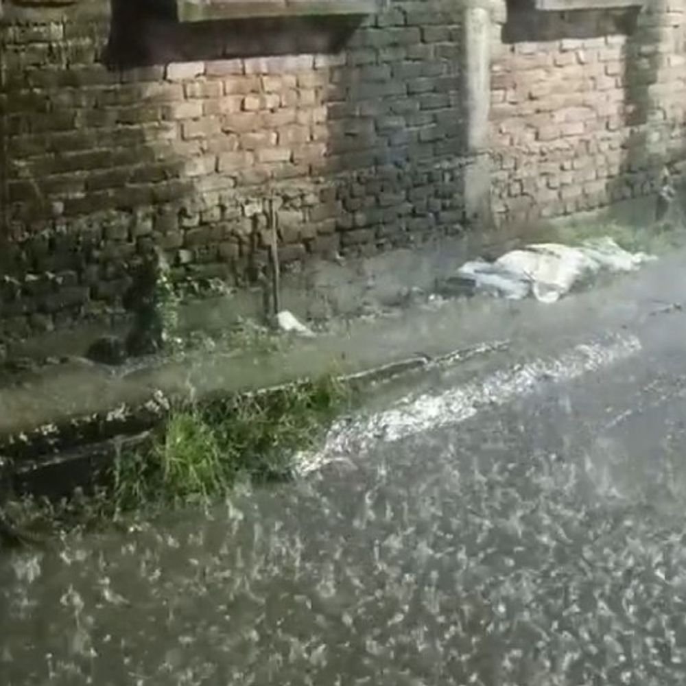 किशनगंज में शनिवार रात तेज बारिश:निचले इलाकों में जलजमाव; लोगों को आवागमन में हो रही परेशानी
