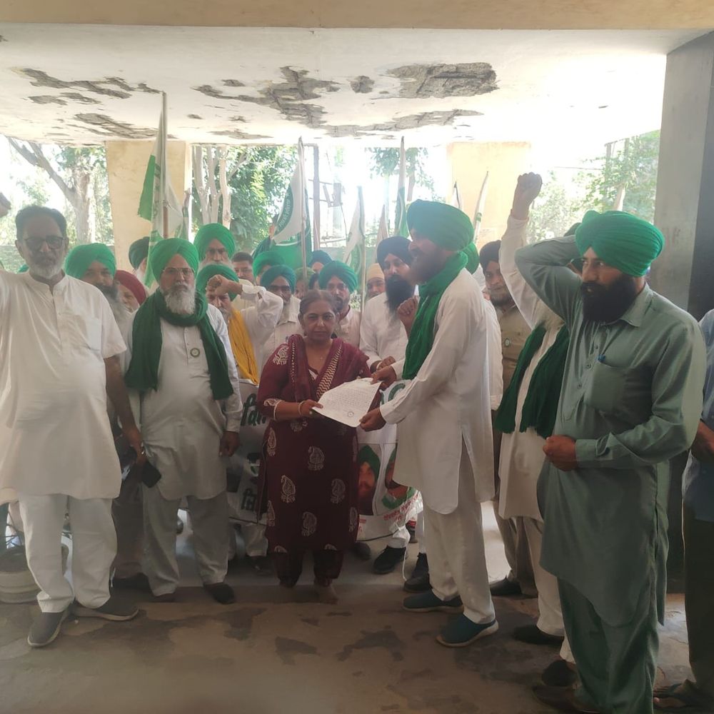 जगराओं में बिजली कटों से किसान भड़के, पावरकॉम दफ्तर घेरा:फसलें सूखने पर बड़े आंदोलन की चेतावनी, अधिकारियों को सौंपा मांग पत्र