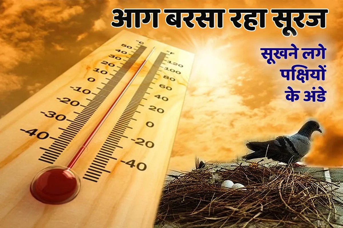 आग उगल रहा सूरज, पक्षियों के अंडे तक सूखने लगे