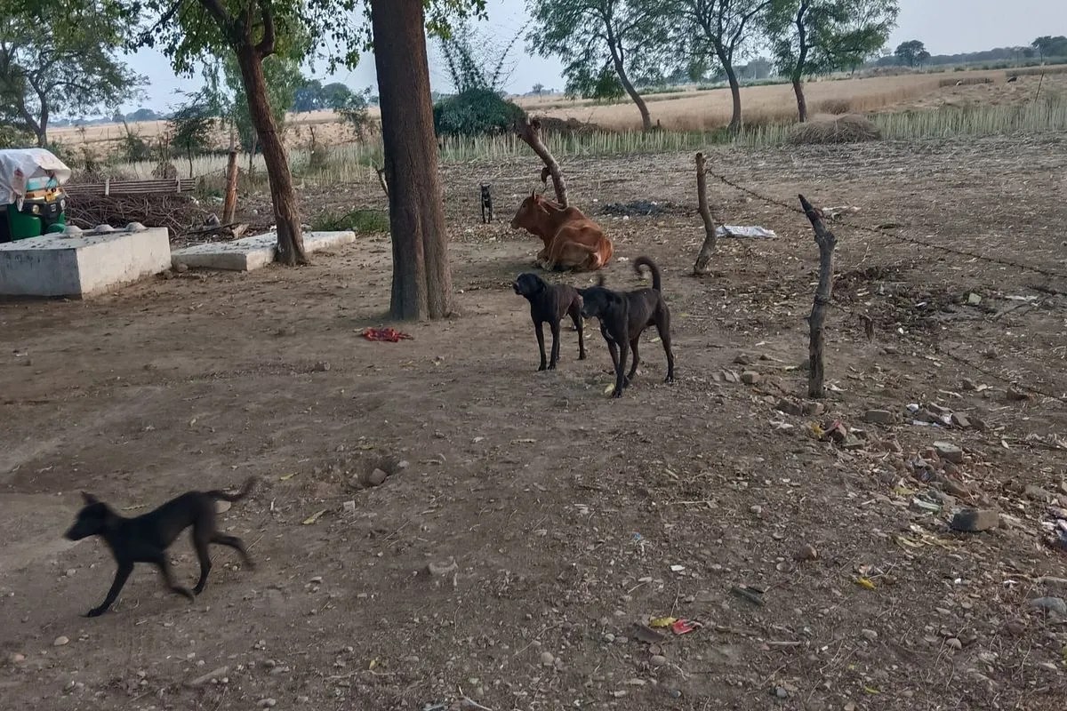 181 पर समस्याओं का फर्जी निस्तारण…लोग कहां करें भरोसा