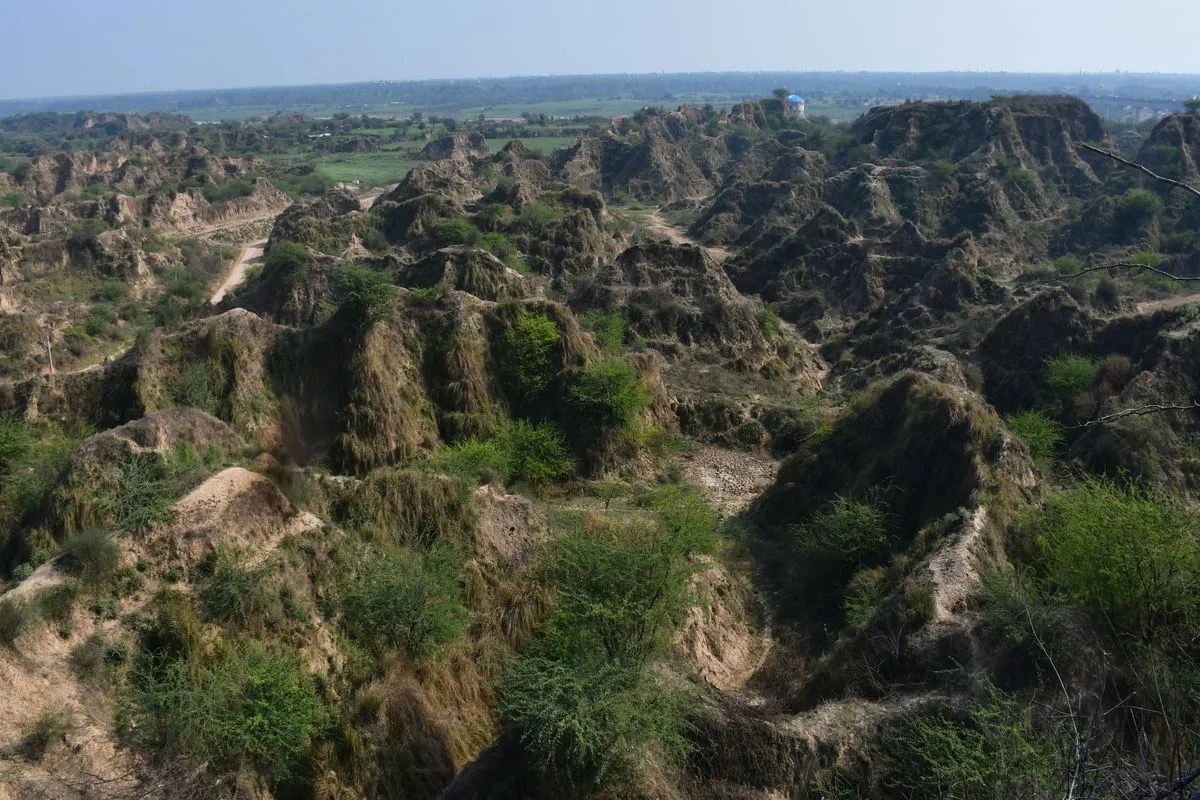 चंबल बीहड़ों में होगा सैर-सपाटा, ट्रेकिंग समेत कई योजना पर मंथन, सरकार को भेजा प्रस्ताव