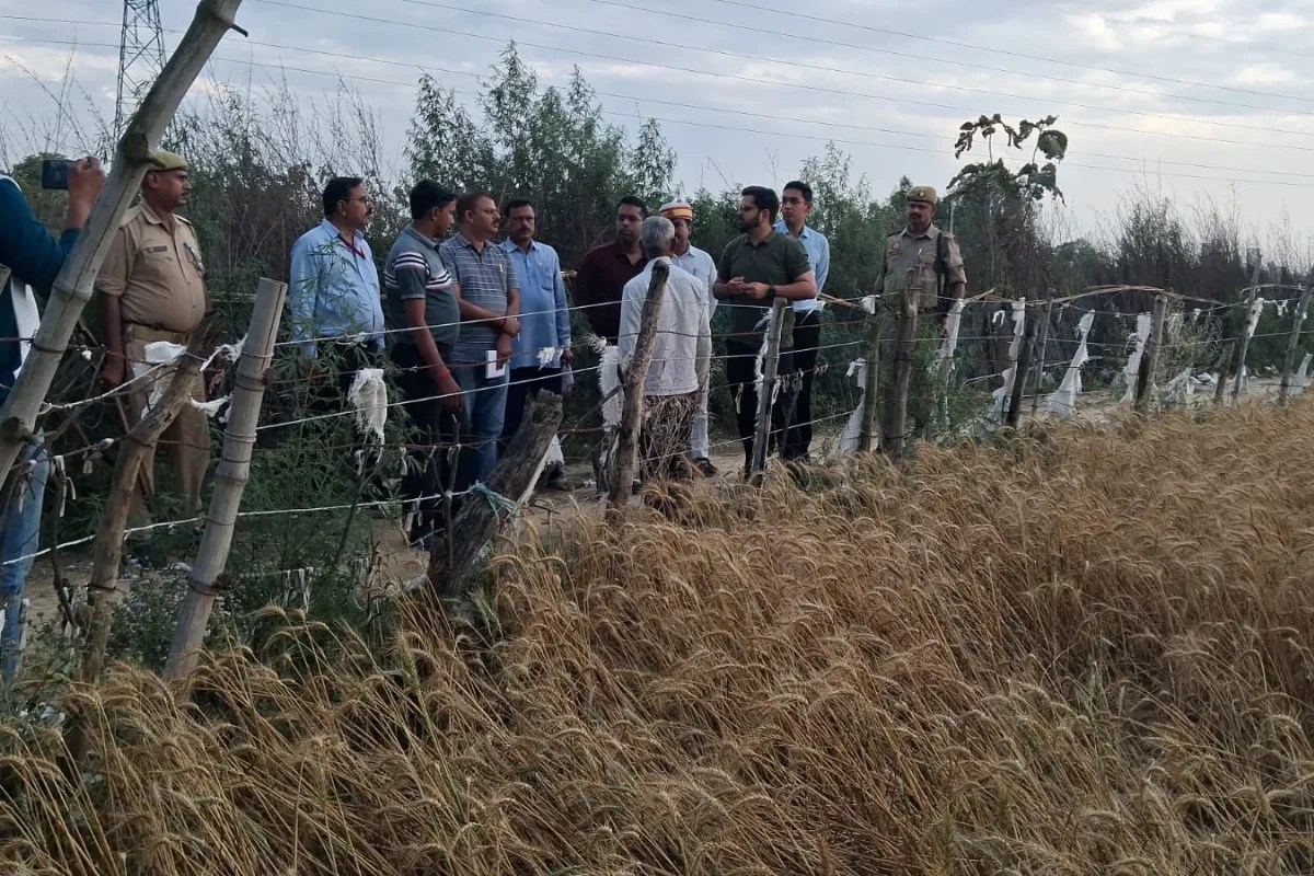 15 मिनट में बर्बादी: ओलावृष्टि और बारिश ने उजाड़े खेत, सैकड़ों गांव प्रभावित, डीएम ने किया निरीक्षण