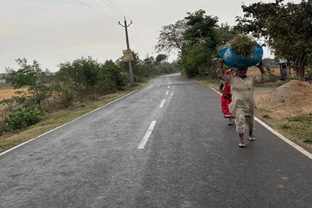 Weather update: सुबह सुबह हुई बूंदाबांदी ने बढ़ाई किसानों की चिंता, मड़ाई का कार्य प्रभावित