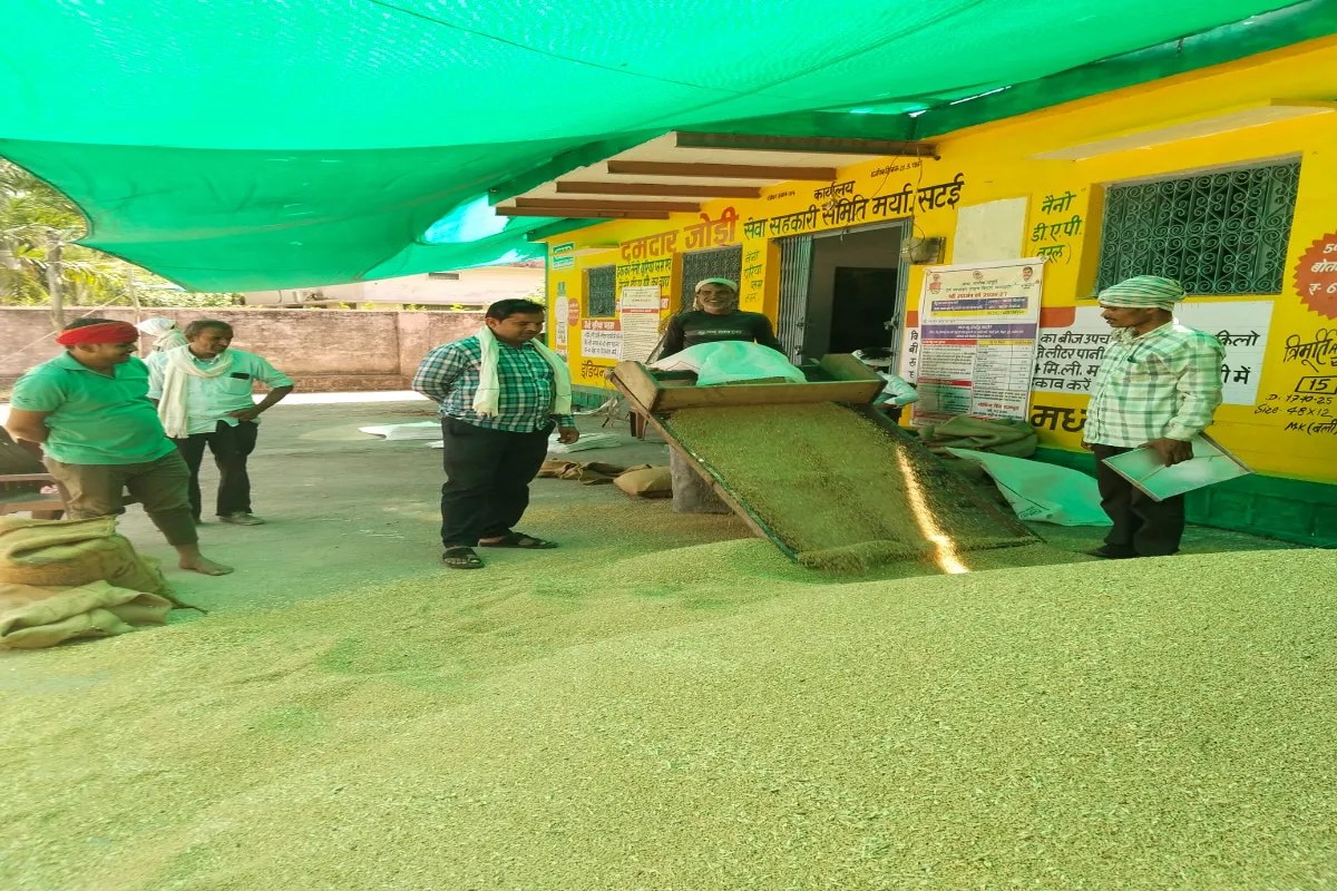 छतरपुर में गेहूं उपार्जन ने पकड़ी रफ्तार: जिले के 60 केंद्रों पर खरीदी शुरू, अब तक 4390 मीट्रिक टन गेहूं की हुई तुलाईतकनीकी बाधाएं दूर होने से स्लॉट बुकिंग में आई तेजी