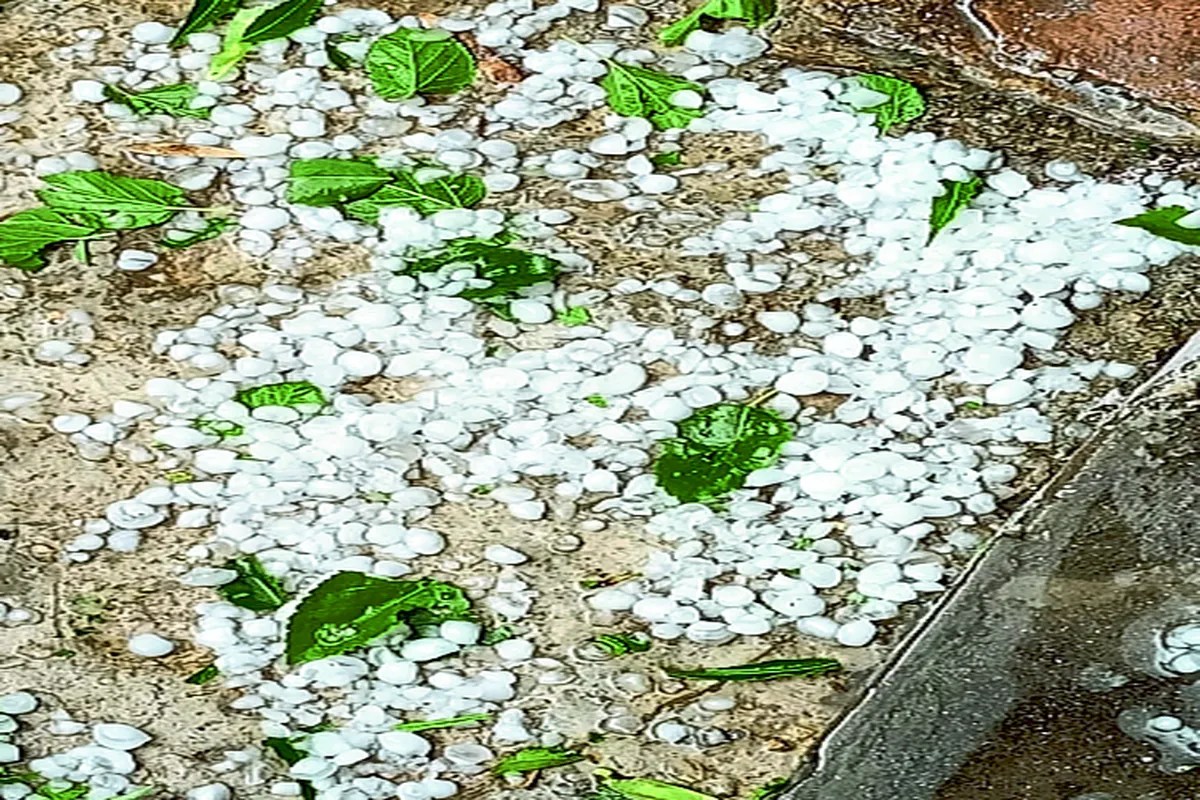 ओलावृष्टि से जमीन हुई सफेद …. देखें वीडियो….