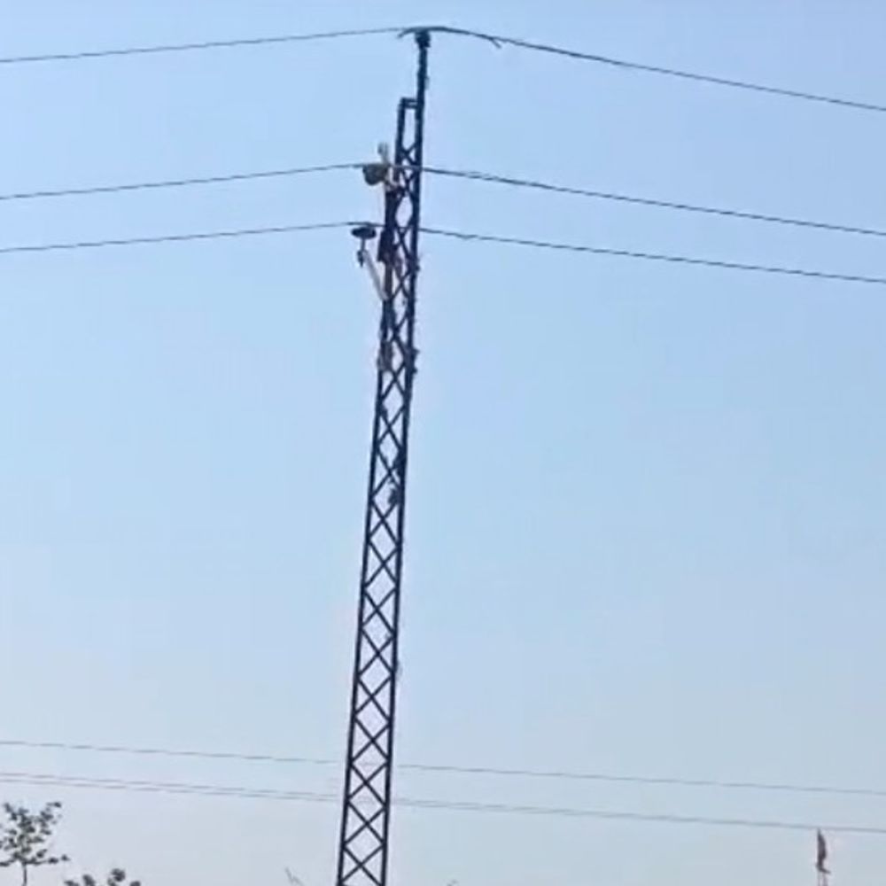 युवती की आत्महत्या मामले में आरोपी प्रेमी गिरफ्तार:सामूहिक विवाह के बाद भी ससुराल नहीं गई थी, प्रेमी शादी का दबाव बना रहा था