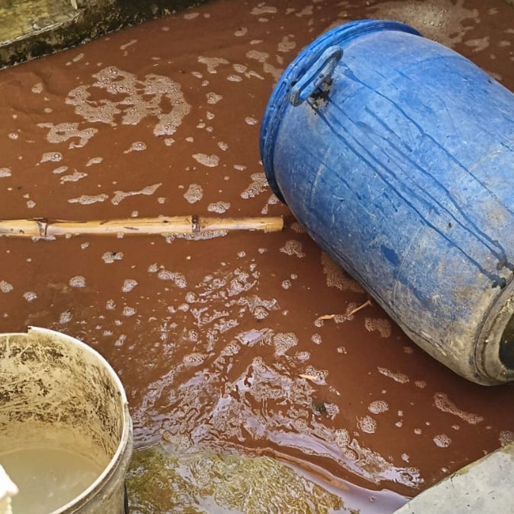 बोचहां में 1500 लीटर शराब नष्ट, 20 लीटर जब्त:उनसर और मझौली पंचायत के विभिन्न स्थानों पर कार्रवाई