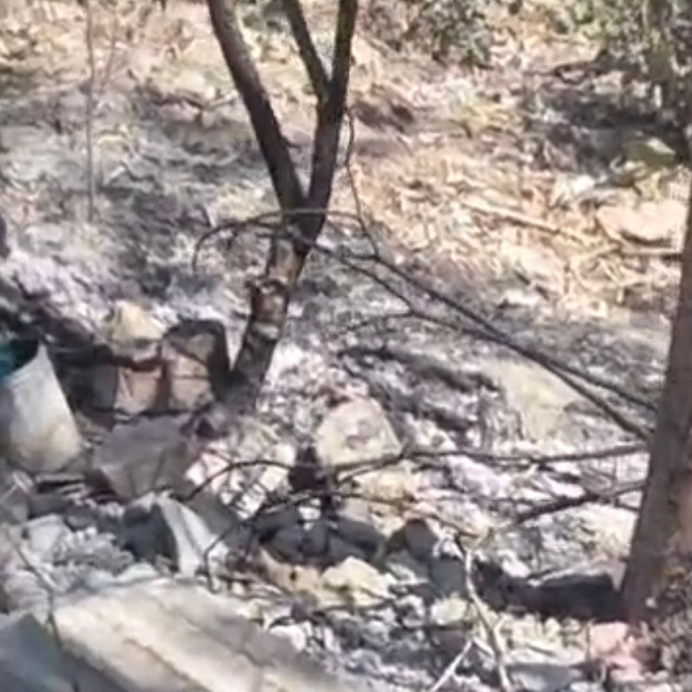 पुरानी रंजिश में आरोपियों ने बाड़ी में लगाई आग:शहडोल में हजारों का सामान जलकर राख, दो पर केस दर्ज