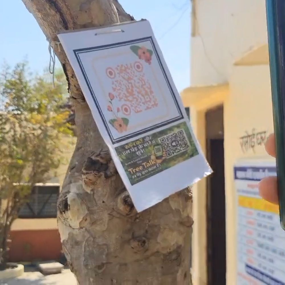 क्यूआर कोड स्कैन करते ही पेड़ बोलेगा:पर्यावरण संरक्षण की अनूठी पहल, पचपहाड़ स्कूल में पौधे बताएंगे अपनी विशेषताएं