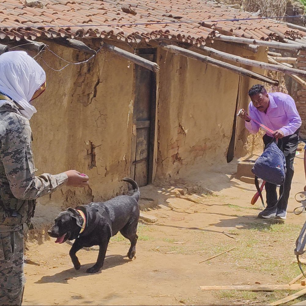 पलामू में किराए के मकान में महिला का मिला शव:पत्थर से कुचलकर हत्या, दुष्कर्म की आशंका; गढ़वा के संदिग्ध शख्स की तलाश