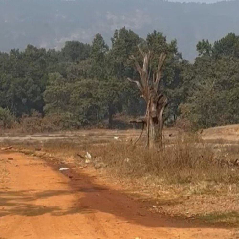 जमुई के सुदूर इलाकों के विकास पर समीक्षा:मुख्य सचिव के निर्देश, सड़क-स्वास्थ्य-शिक्षा पर फोकस, DM ने तेजी से काम का भरोसा दिया