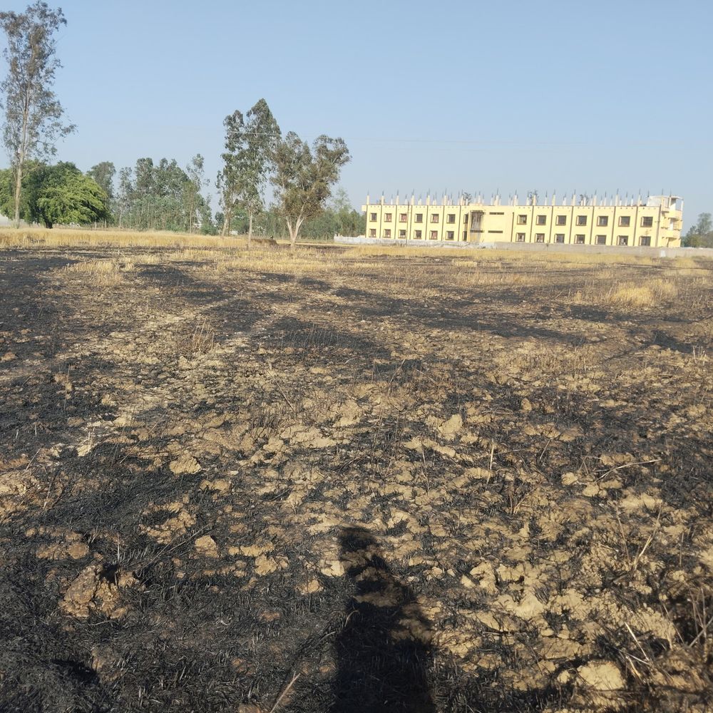 पीलीभीत में 20 एकड़ गेहूं की फसल जलकर राख:आग लगने से किसानों को भारी नुकसान, मुआवजे की मांग