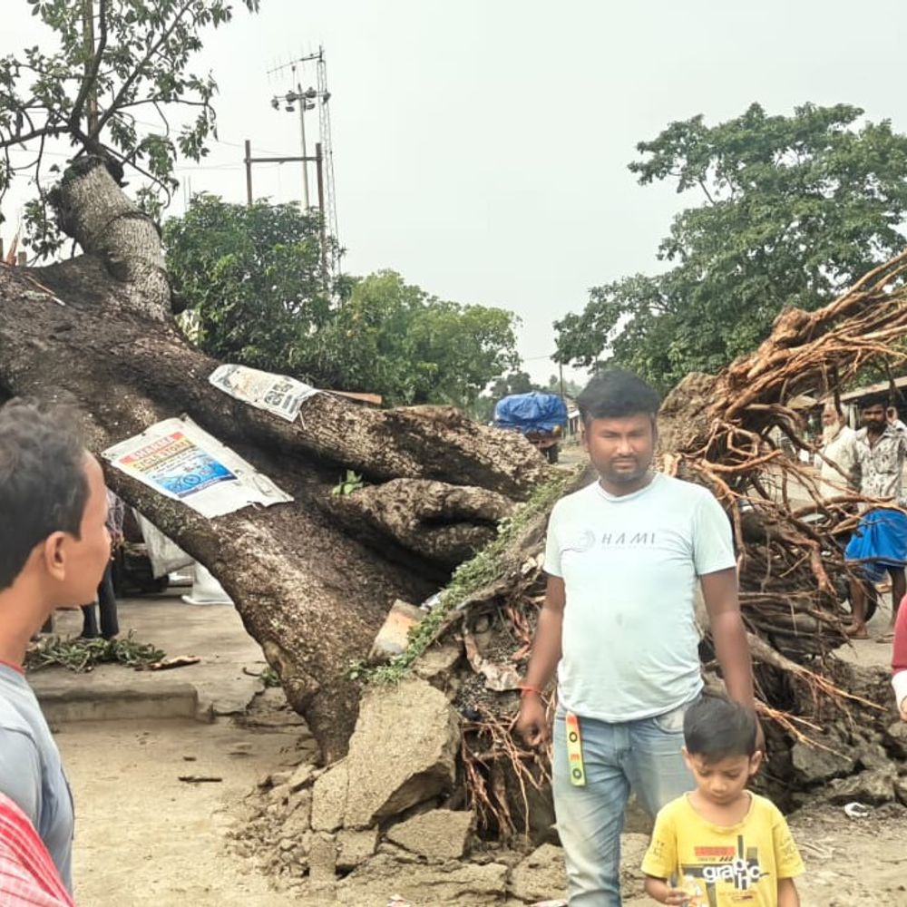 बलरामपुर में तेज आंधी-बारिश, भेलाई चौक पर पेड़ गिरा:कई बिजली तार गिरे, सप्लाई प्रभावित