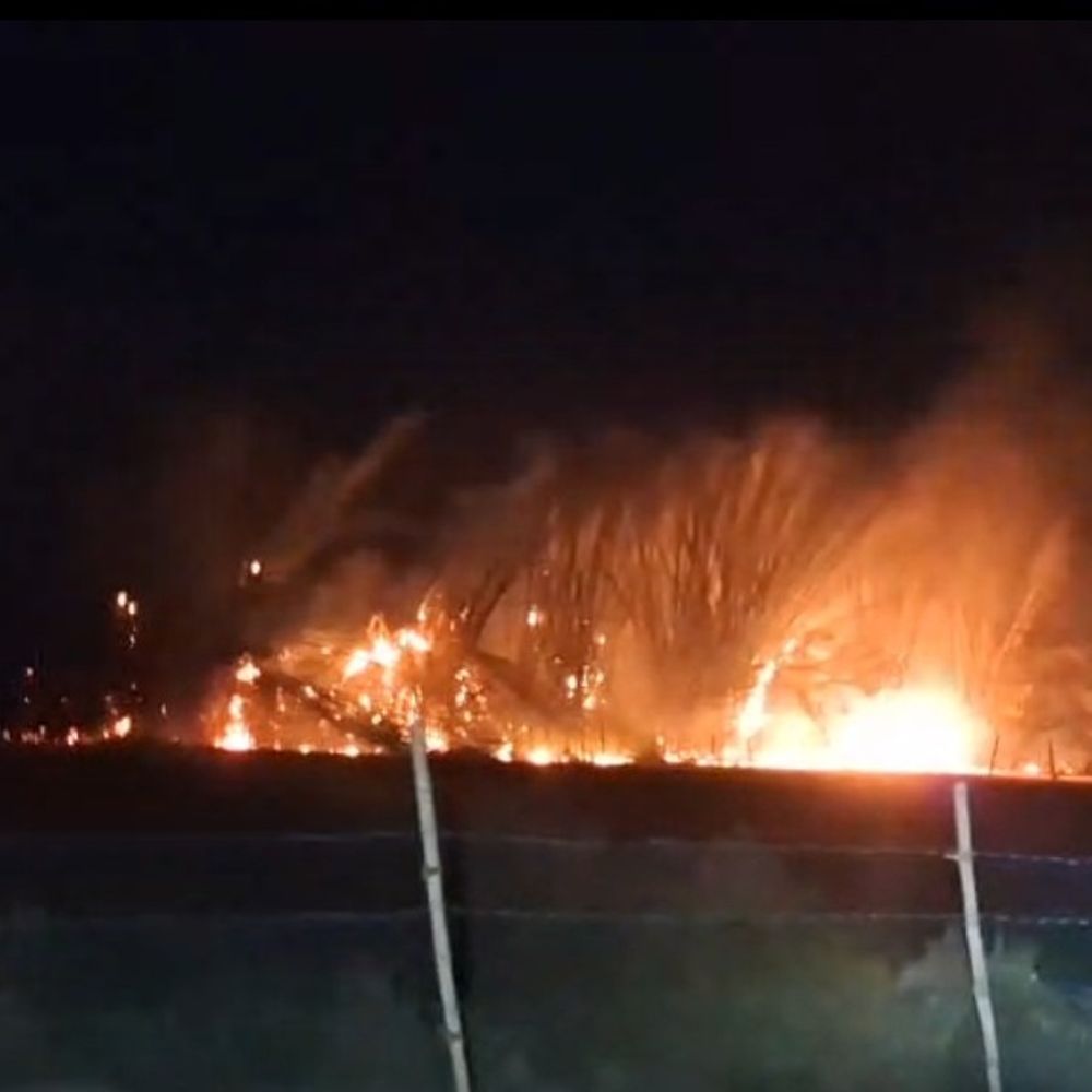 शाजापुर में गौरी गार्डन के पीछे झाड़ियों में आग:तेज हवाओं से फैली, दमकल की 3 गाड़ियां पहुंची; पुलिस-फायर ब्रिगेड ने डेढ़ घंटे में बुझाई