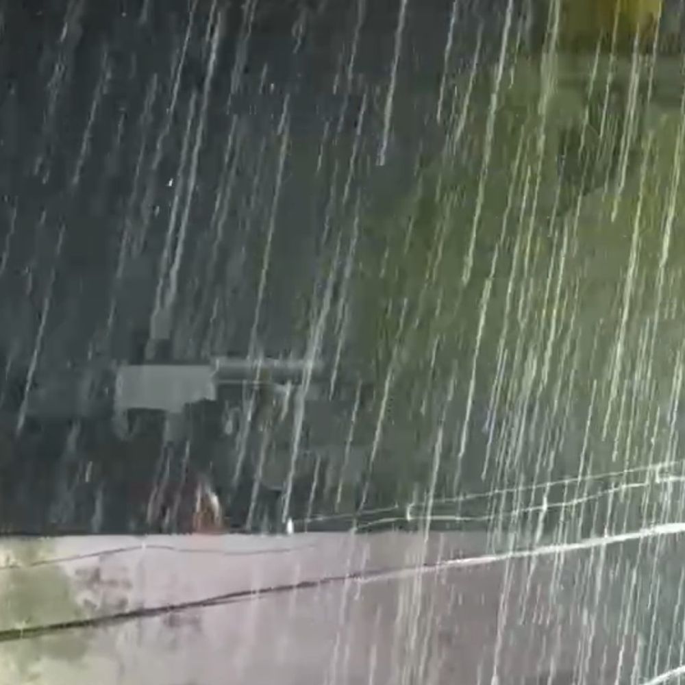 किशनगंज में मूसलाधार बारिश, लोगों को गर्मी से मिली राहत:तेज हवा के कारण पेड़ों की डालियां टूटकर सड़कों पर गिरी, आवाजाही हुई प्रभावित