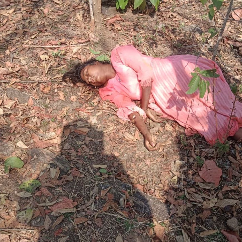 बलरामपुर में हाथी के हमले में किशोरी की मौत:महुआ बीनने के दौरान 22 हाथियों ने किया हमला, एक ने भागकर बचाई जान