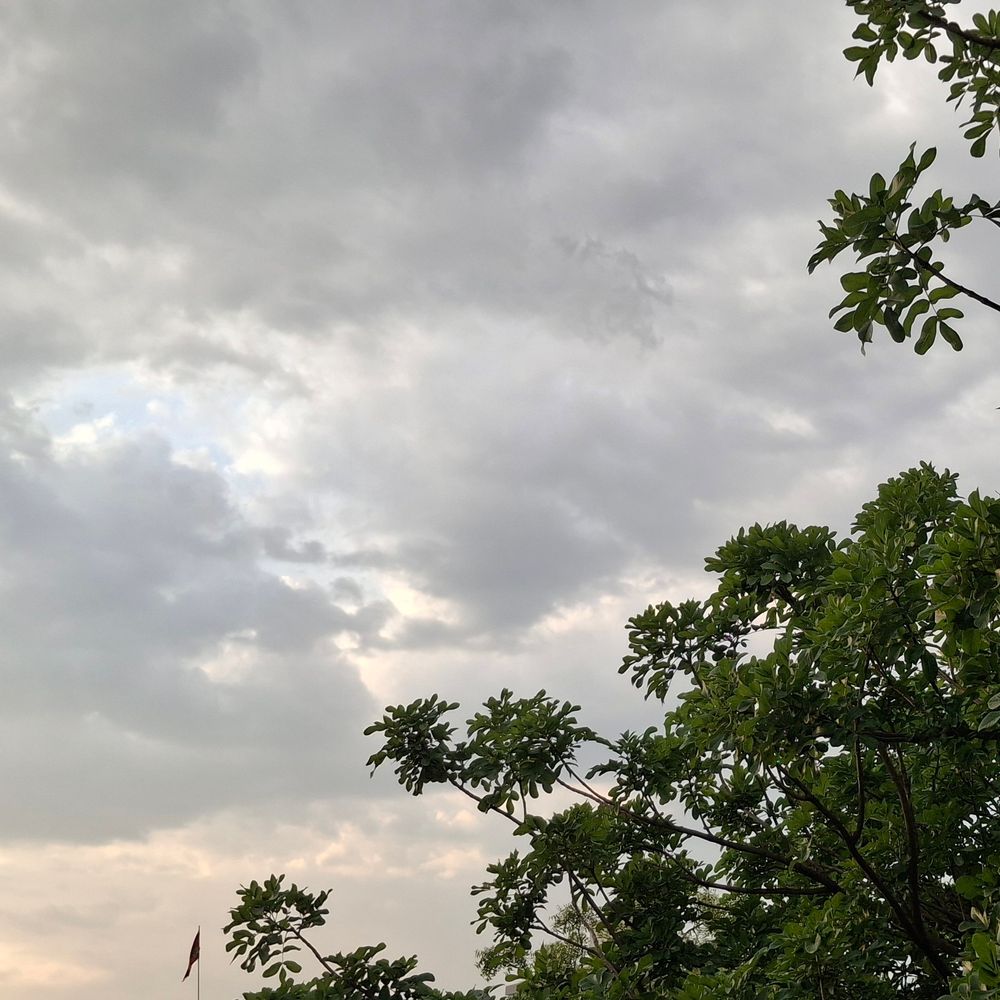 हरदोई में बारिश को लेकर येलो अलर्ट जारी:छाये घने बादल, गेहूं की तैयार फसल को लेकर किसानों की बढ़ी चिंता