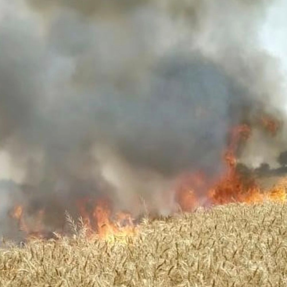 हाईटेंशन लाइन से निकली चिंगारी से आग:हरदोई में 6 बीघा फसल राख, ग्रामीणों ने आग पर पाया काबू