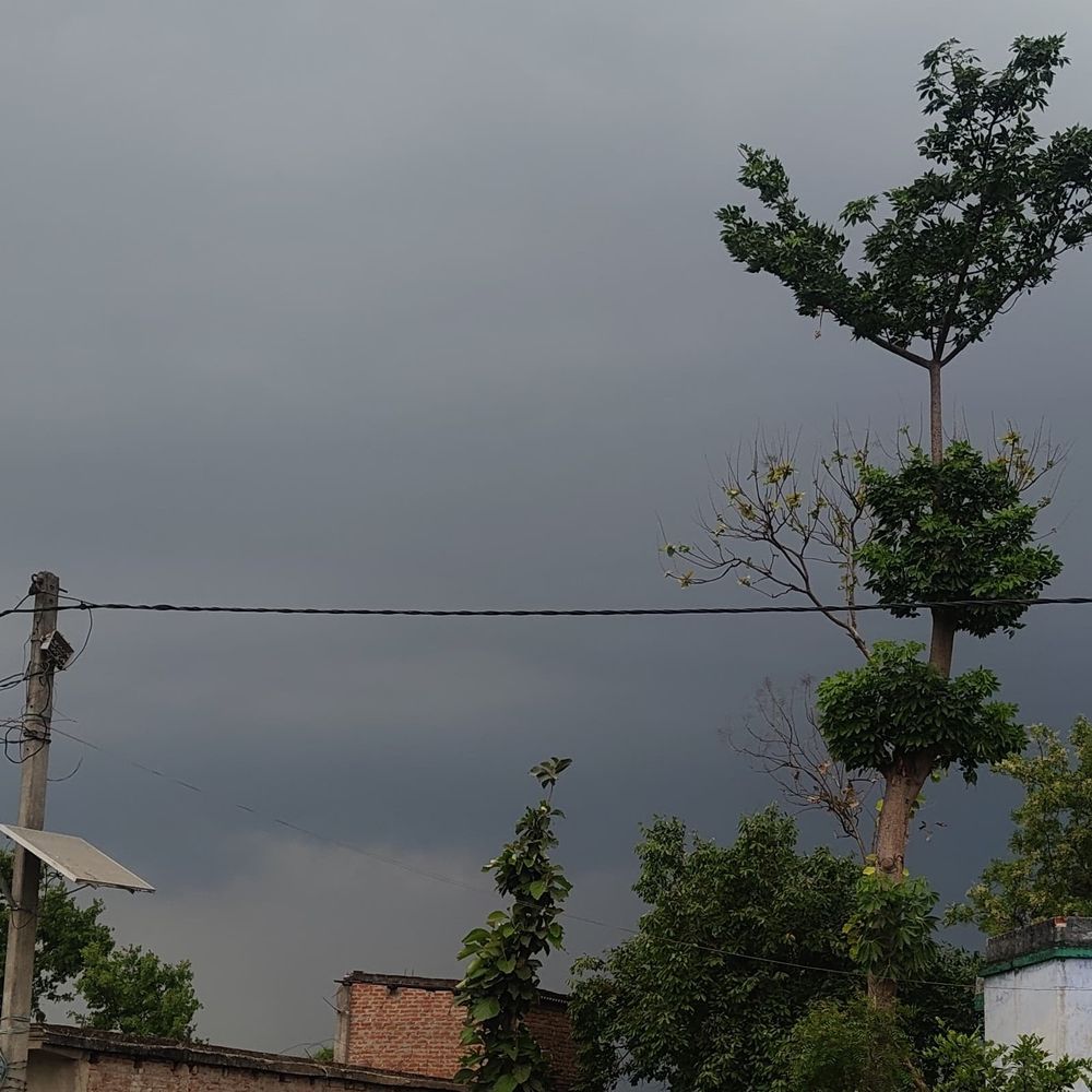 लौरिया में मौसम बदला, भीषण गर्मी से मिली राहत:सुबह धूलभरी आंधी और काले बादलों के छाने से तापमान में आई गिरावट