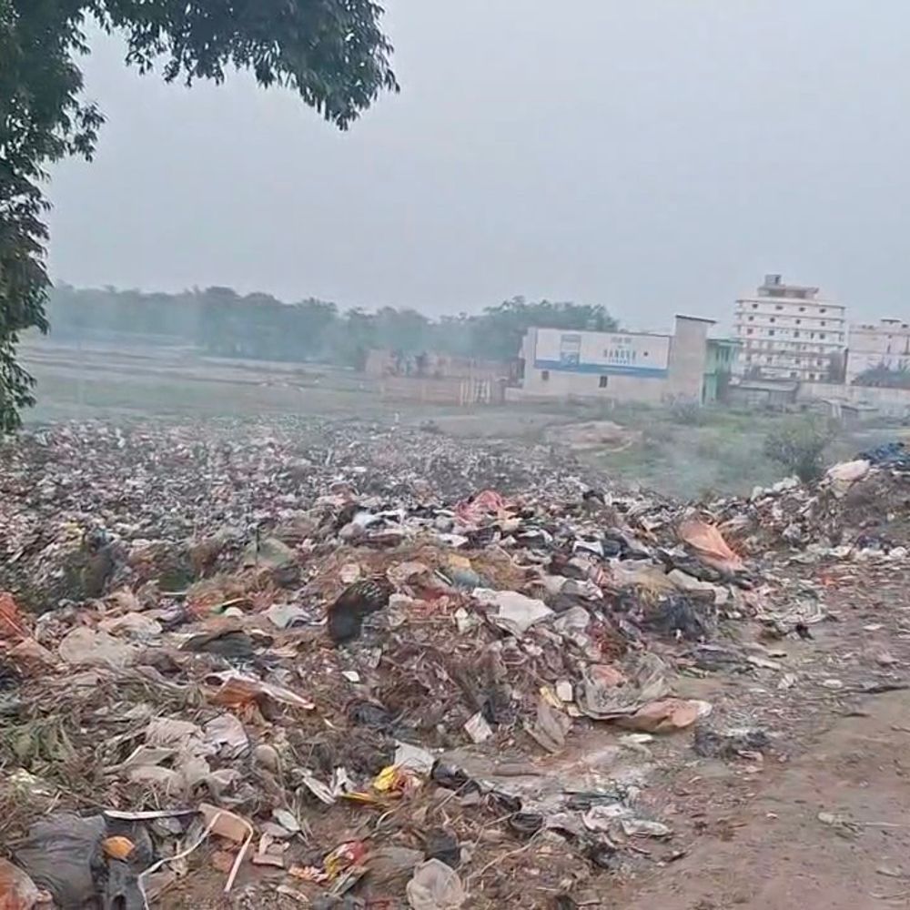 मधेपुरा में NH किनारे कचरा डंपिंग से लोग परेशान:दुर्गंध और उड़ते प्लास्टिक से बढ़ी परेशानी; EO बोलीं-डेढ़ महीने में तैयार होगा स्थायी डंपिंग यार्ड