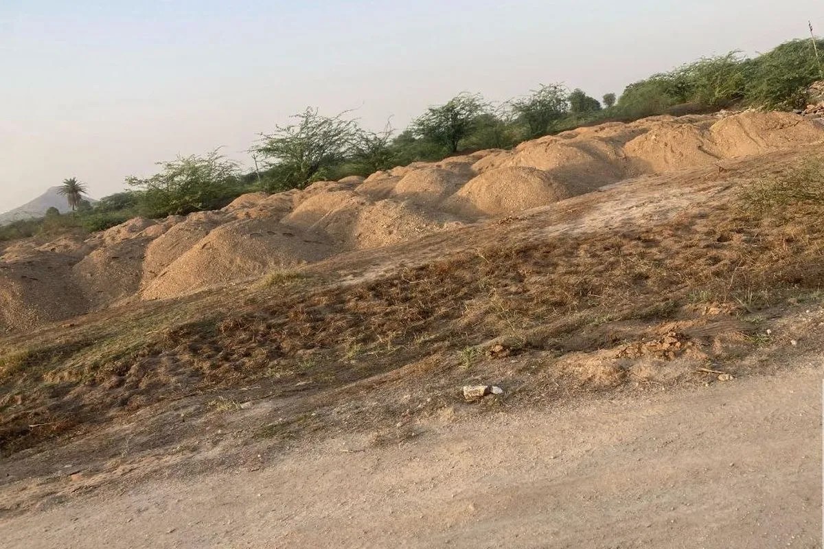 बजरी माफिया की दबंगई: किसान के खेत में डाला अवैध बजरी का स्टॉक