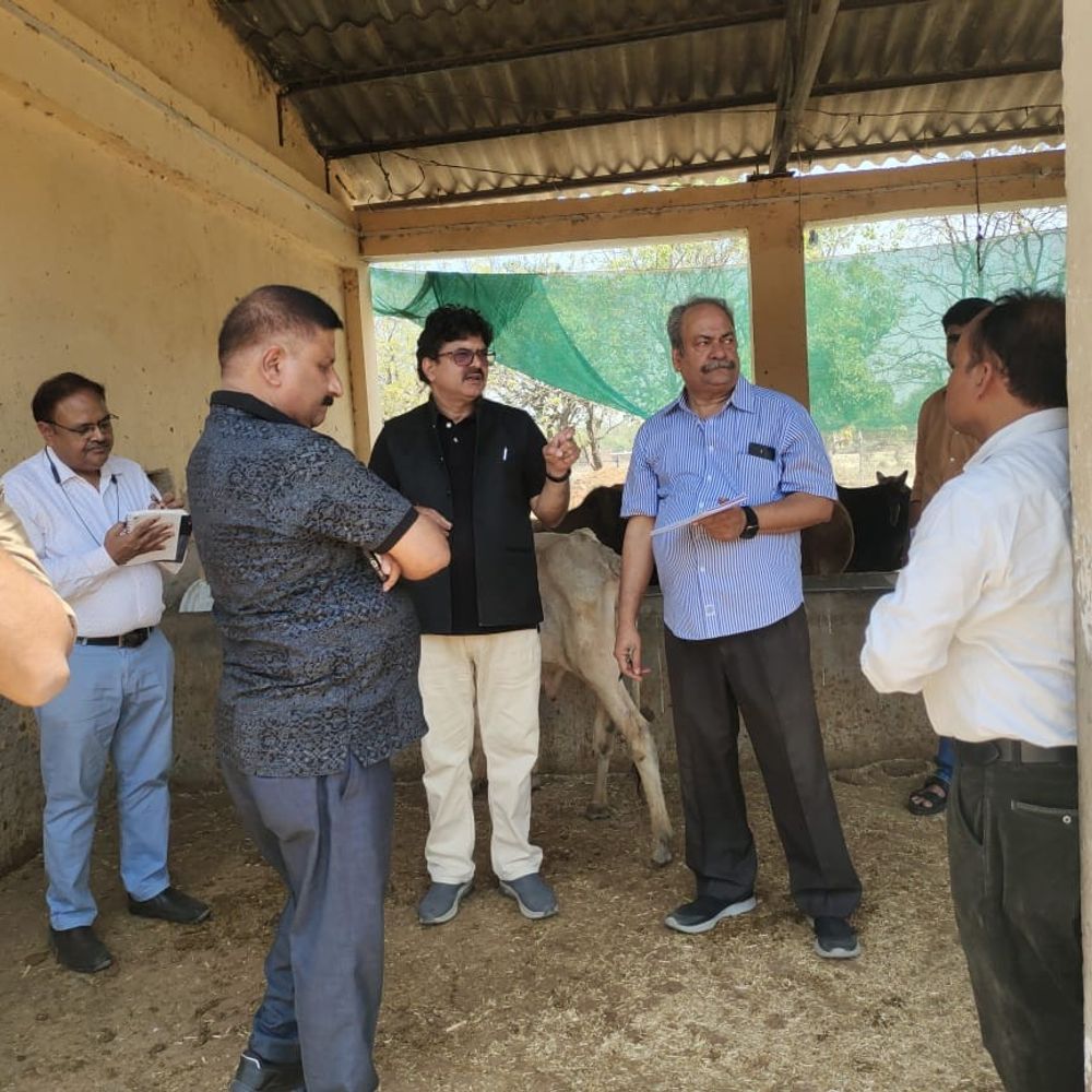 गोसेवा आयोग उपाध्यक्ष अमेठी दौरे पर:तीन गौशालाओं का निरीक्षण कर सुधार के निर्देश दिए