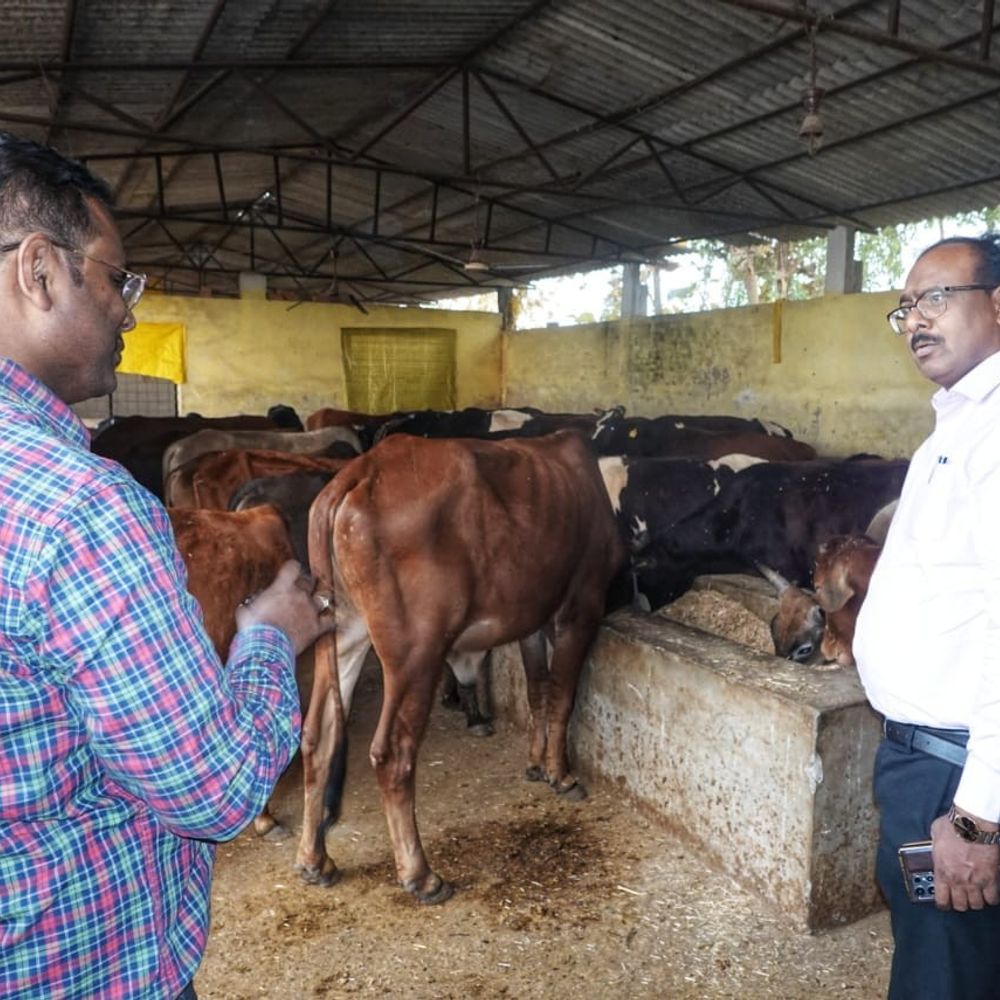 जिलाधिकारी ने गौआश्रय स्थल मदनपुरा का निरीक्षण किया:मुख्य विकास अधिकारी भी साथ रहे, व्यवस्थाओं का जायजा लिया, दिए निर्देश