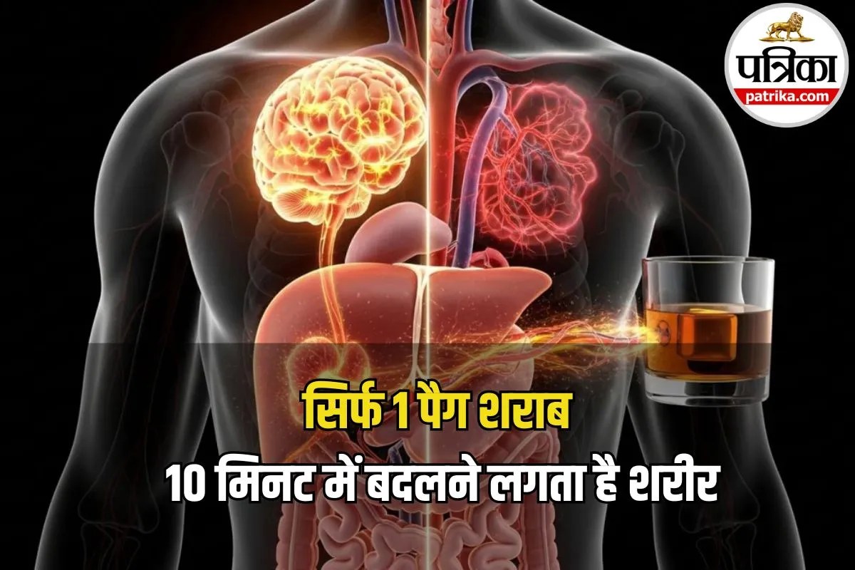 Alcohol Effects on Body: 10 मिनट में बदलने लगता है शरीर! डॉक्टर से एक पैग शराब का पूरा असर जानिए