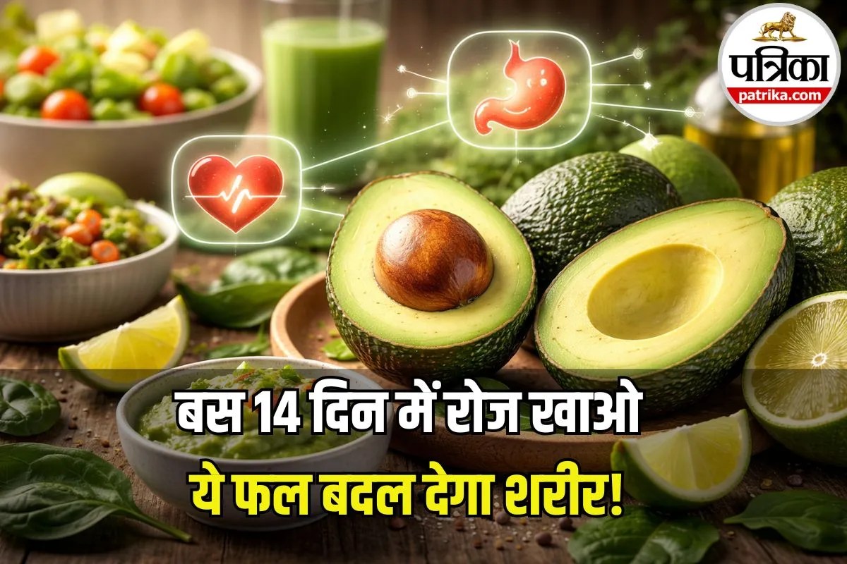 14 दिन तक रोज Avocado खाने से शरीर में क्या बदलता है? एम्स के डॉक्टर ने बताया सच