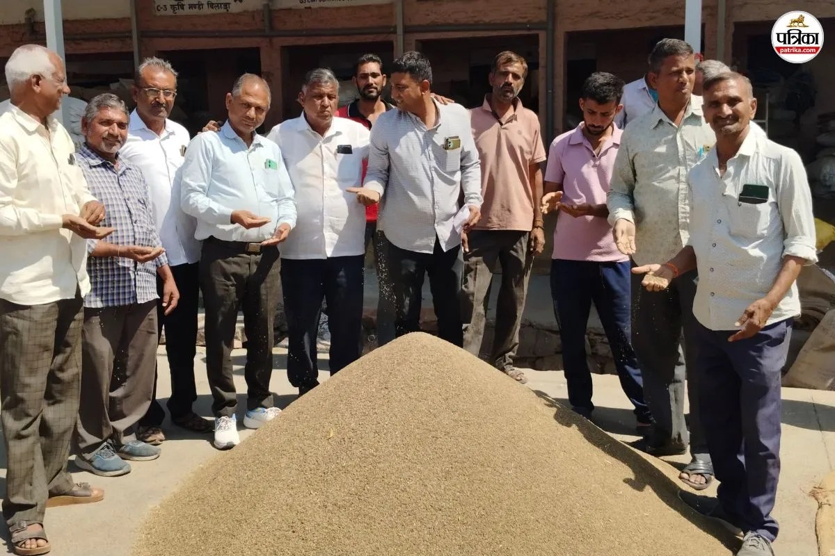 Mandi Bhav: जीरा-सौंफ के भाव में बड़ी गिरावट, 15 दिन में जीरा 4 हजार रुपए टूटा, जानें ताजा मंडी भाव