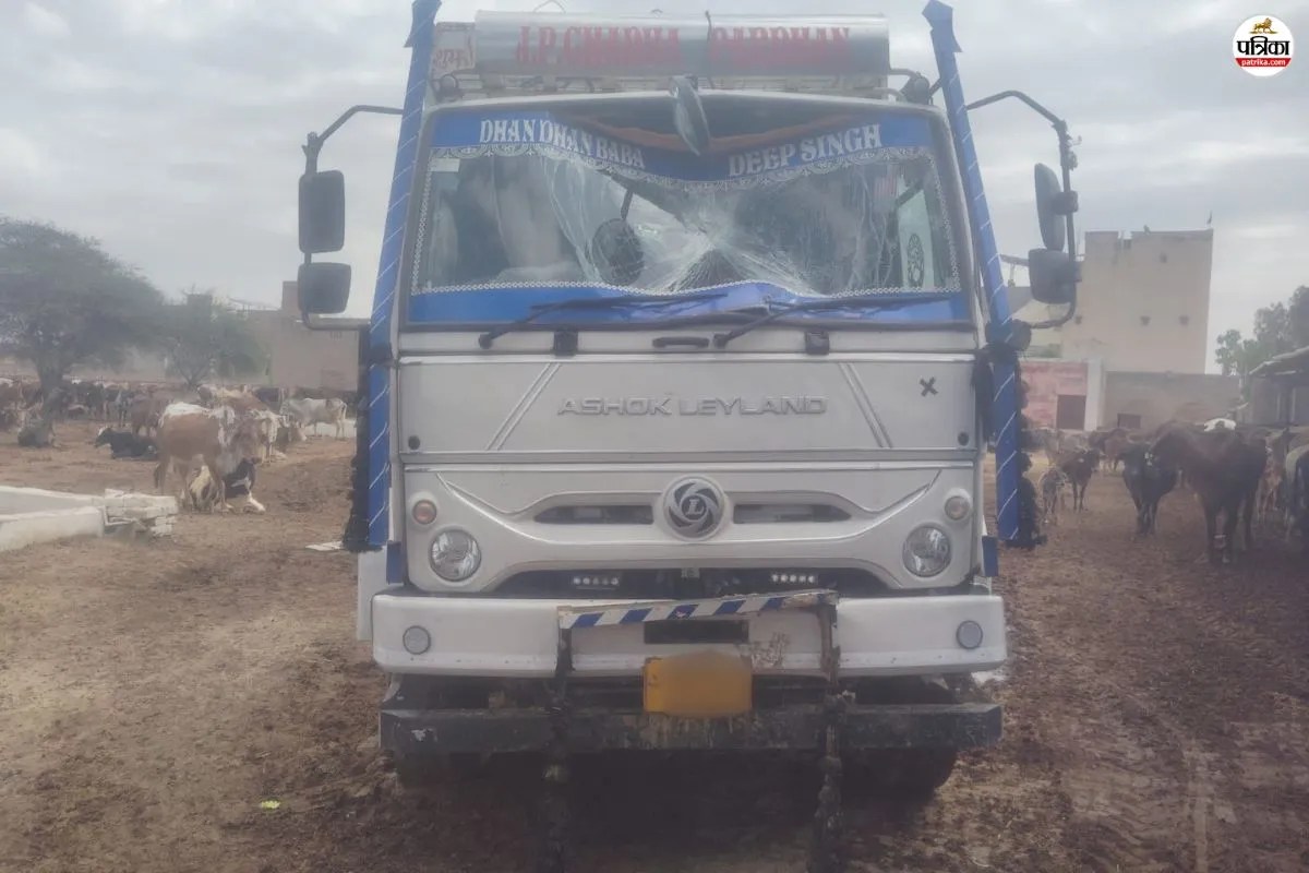 श्रीगंगानगर : 14 गोवंश लादकर जा रहे तस्करों का ट्रक पलटा, एक नंदी की हुई मौत, चालक फरार
