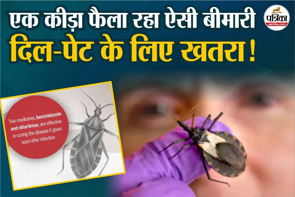 Chagas Disease : “एक कीड़े ने 80 लाख लोगों को किया बीमार”, WHO ने फिर किया अलर्ट!