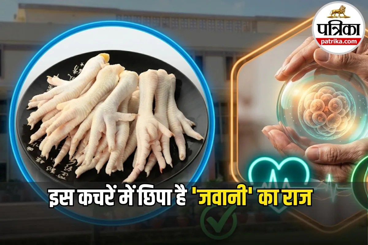 क्या आप भी फेंक देते हैं चिकन के पैर? रुकिए! इसमें छिपा है जवानी का राज, एक्सपर्ट ने बताए इसे खाने के ये 5 फायदे