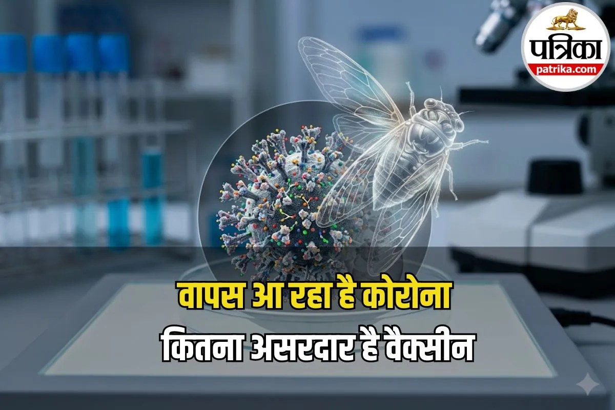 Cicada vs Omicron: पुराने कोविड स्ट्रेन से कितना अलग है नया वायरस, जानें कौन ज्यादा खतरनाक और क्यों?