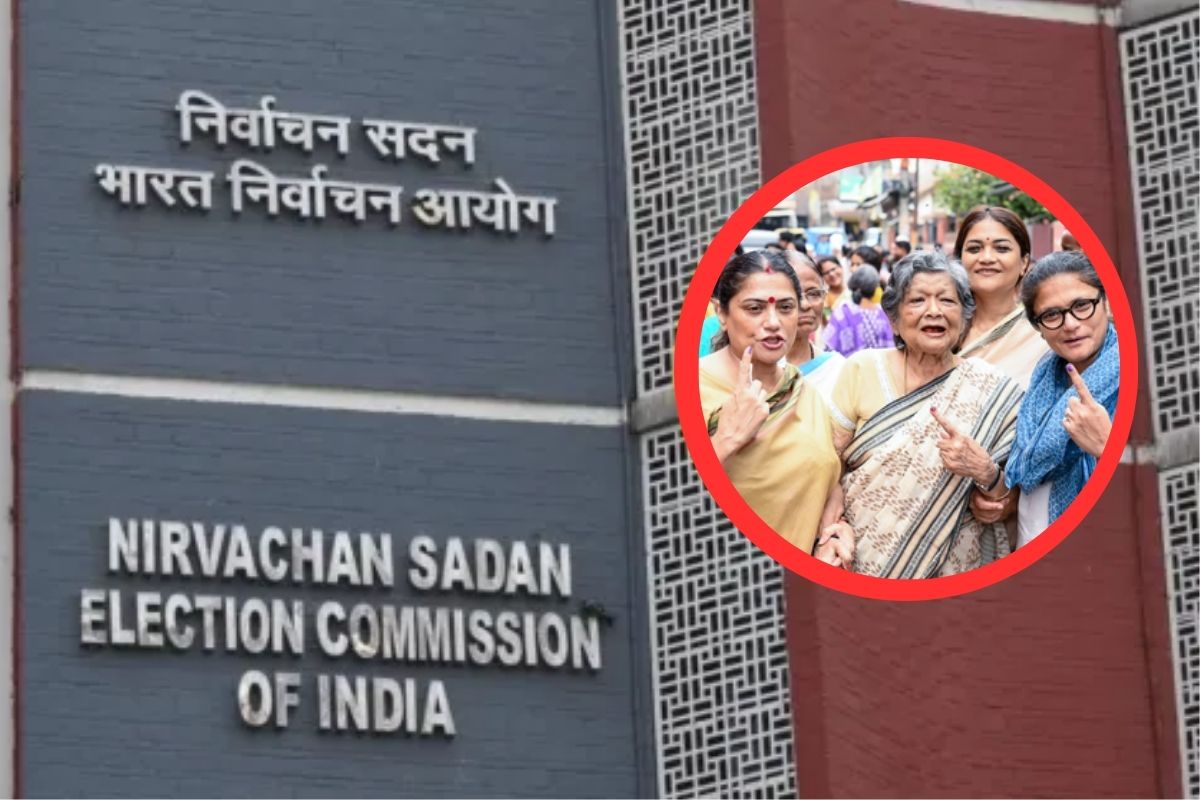तमिलनाडु चुनाव: क्षेत्रीय दलों TVK-NTK का कैडर-आधारित नेतृत्व को आगे बढ़ाने का संदेश, नेताओं के रिश्तेदारों की एंट्री से वंशवाद पर चर्चा