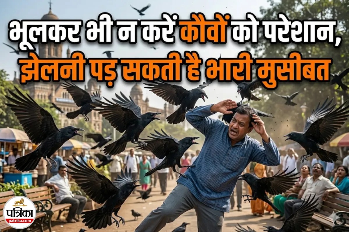 नागिन ही नहीं, कौवे भी लेते हैं बदला! इनसे पंगा मतलब खानदानी दुश्मनी, 17 साल तक नहीं भूलते ये चेहरा