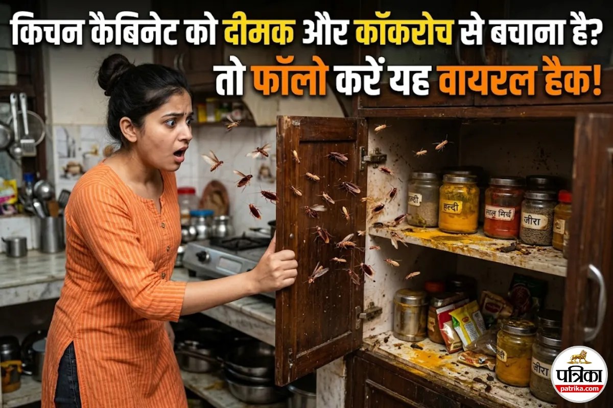 कॉकरोच और दीमक से बर्बाद हो रहे हैं किचन के कैबिनेट? इस आसान हैक से पाएं छुटकारा!