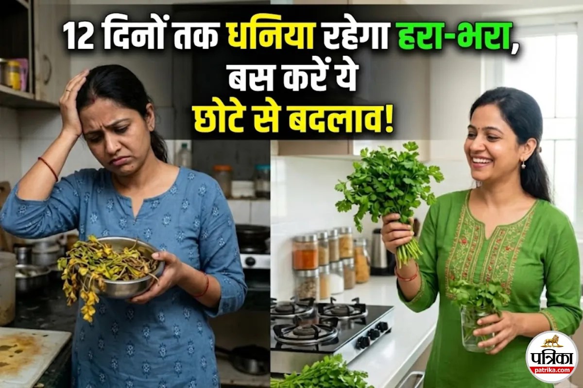 धनिया लाते ही मुरझा जाता है? इन 6 तरीकों से स्टोर करें और टेंशन फ्री हो जाएं!
