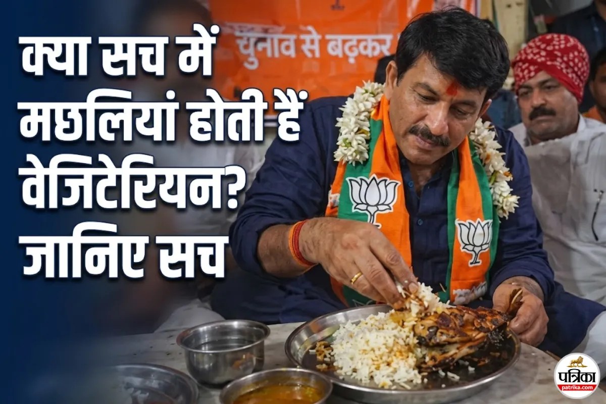 क्या वाकई होती है ‘सात्विक मछली’? मनोज तिवारी के वायरल वीडियो के बाद जानें, वेज और नॉन-वेज मछली के बीच का अंतर