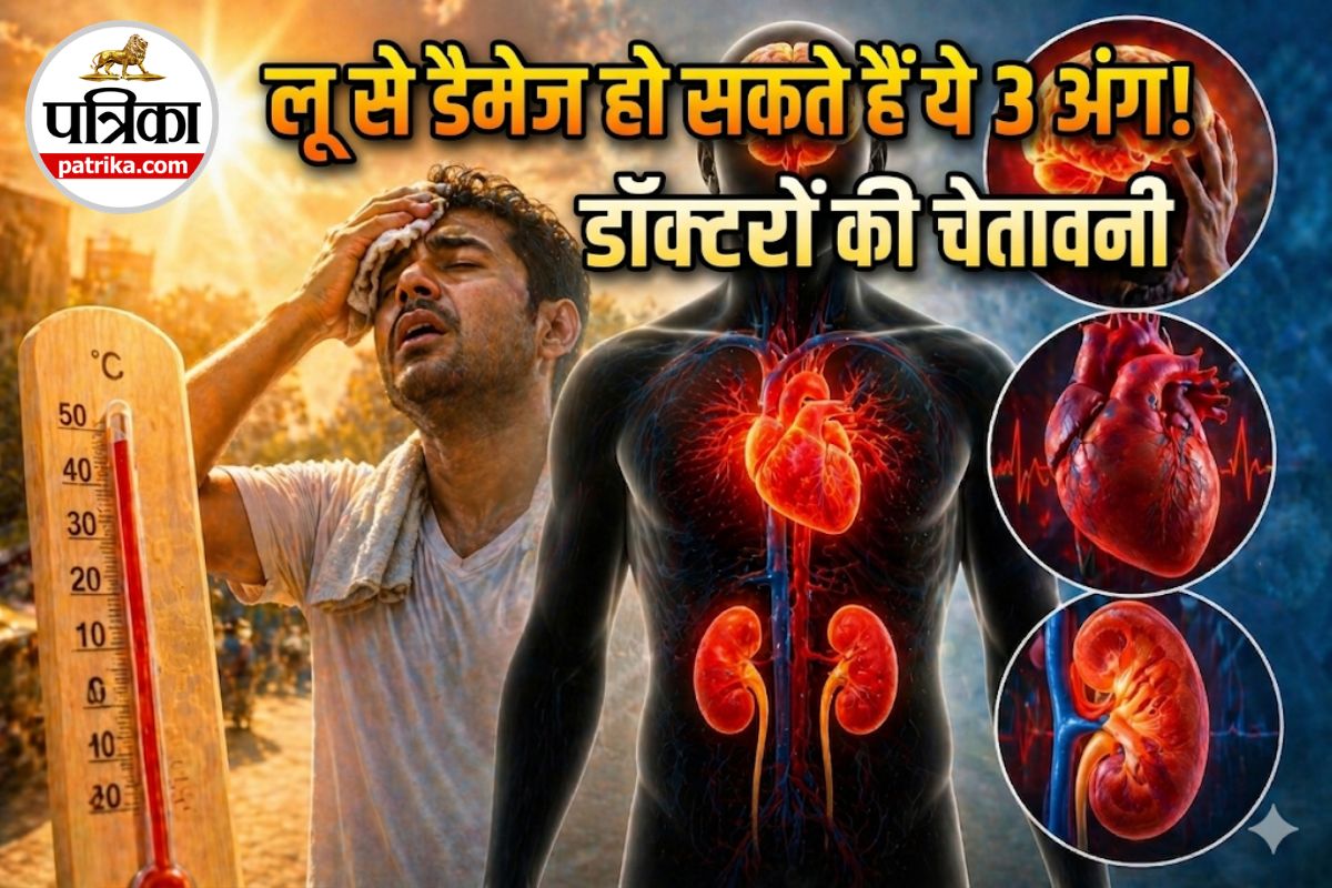 लू की चपेट में आने पर डैमेज हो सकते हैं शरीर के ये 3 अंग, डॉक्टरों ने बताया इस मौसम में बॉडी को कैसे रखें ठंडा