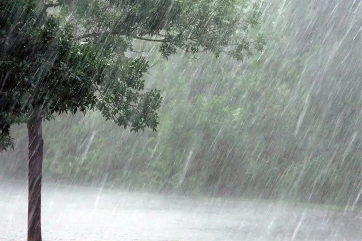 Rain Alert: मजबूत पश्चिमी विक्षोभ होगा सक्रिय, राजस्थान में 2 दिन जमकर बरसेंगे बादल, IMD की चेतावनी